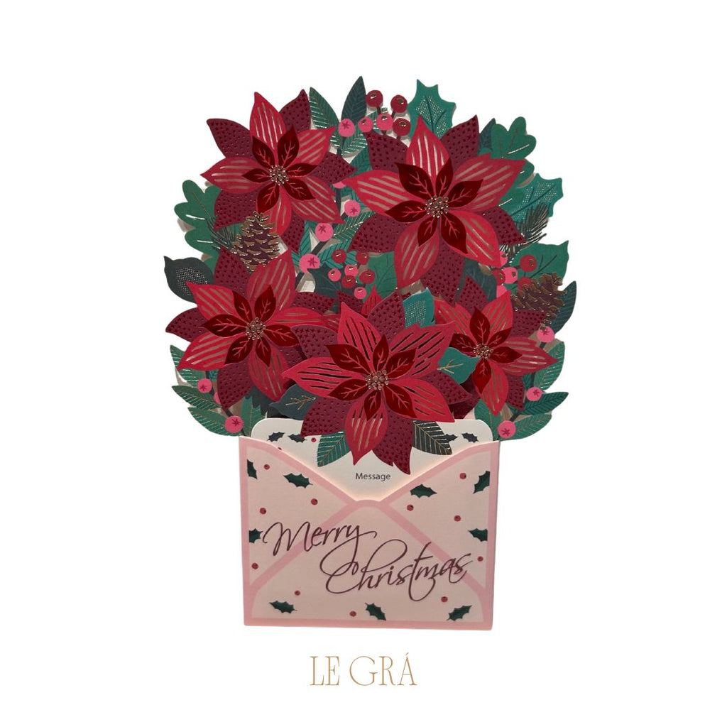 Poinsettia - 10 Pack