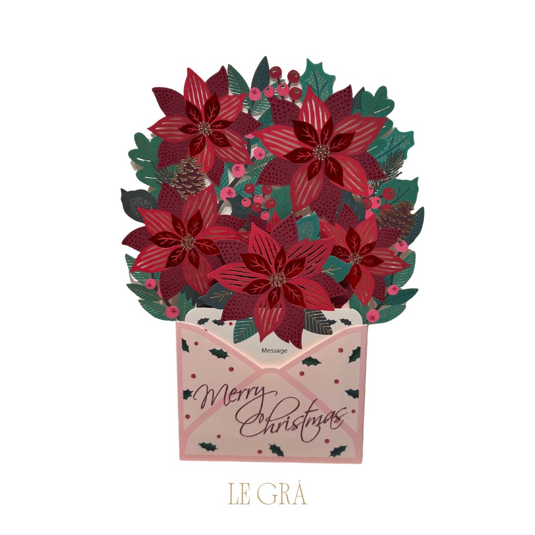 Poinsettia - 10 Pack